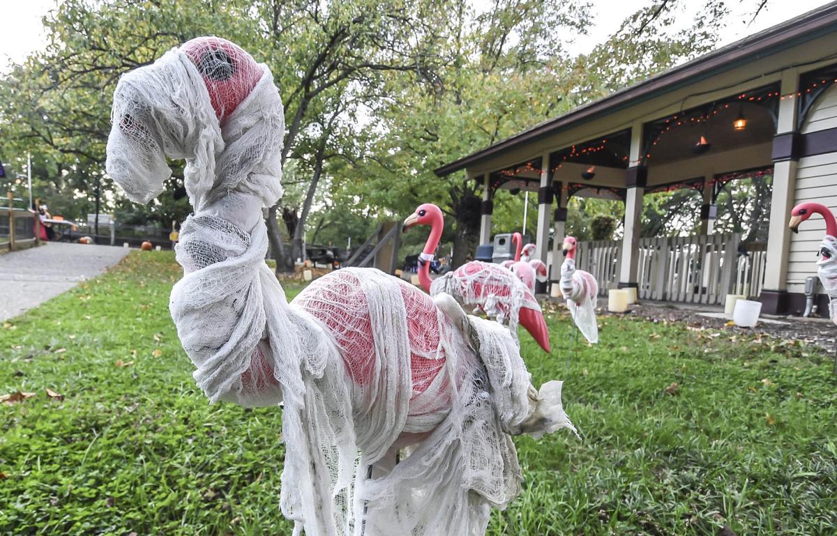 Get Spooked At Boo At The Zoo Special Sections Pantagraph Com