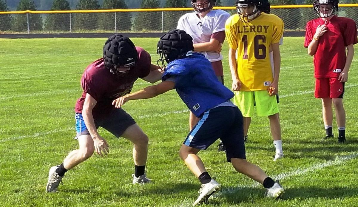 Veteran group seeks to return LeRoy to playoffs