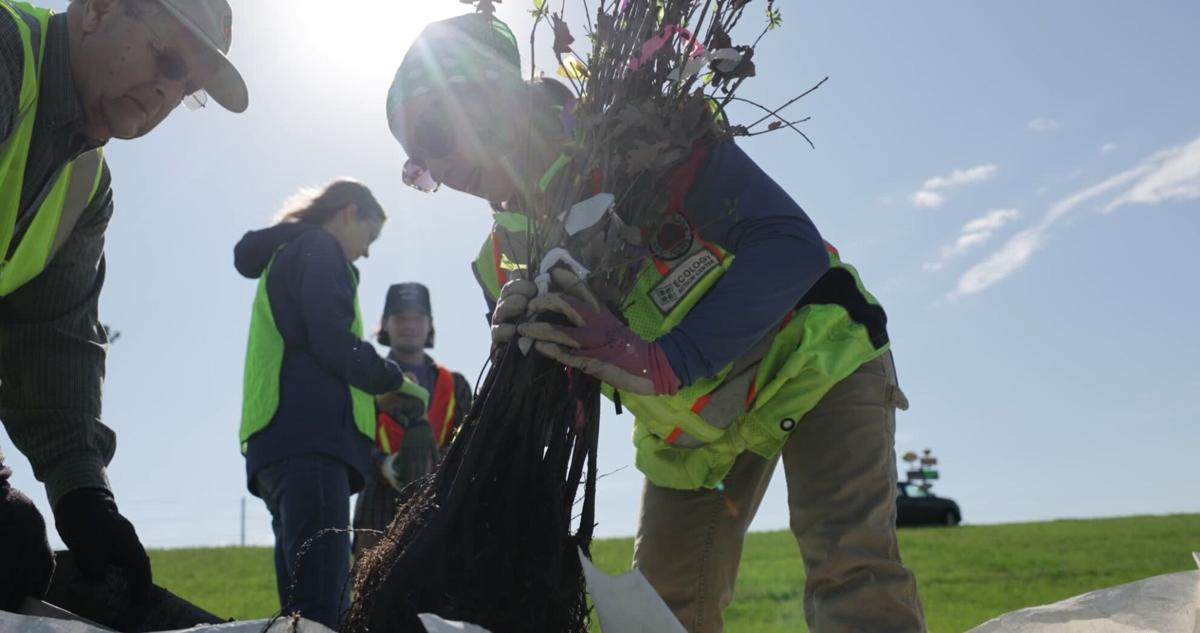 Video: Ecology Action Center plants trees in McLean County to celebrate  Earth Day
