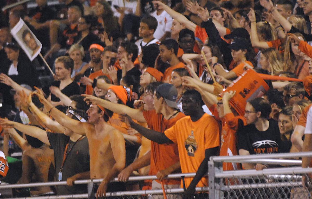 37 pictures of the best sports fans around