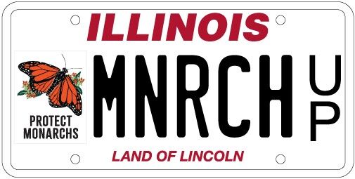 Illinois monarch butterfly fans finally getting specialty license plates