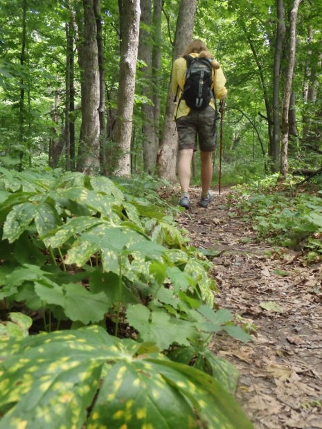 What Illinois State Parks Are Reopening Friday Here S The List