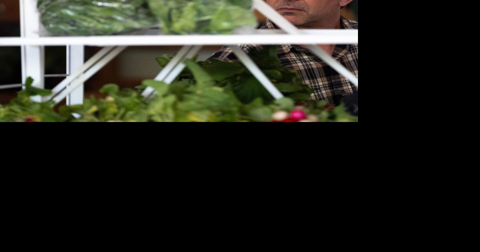 Healthy Families: Garden producing? Donating extra fruit, vegetables