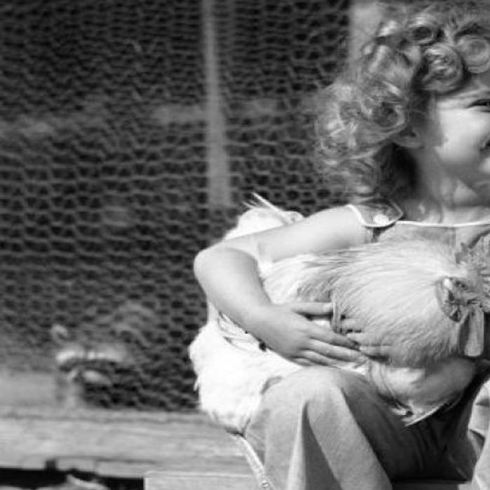 Photos Shirley Temple Black Through The Years Movies Pantagraph Com