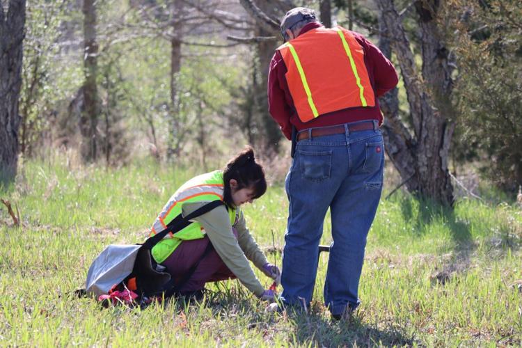 Tree Planting Workday: May 17, 2026 (Multiple Shifts)