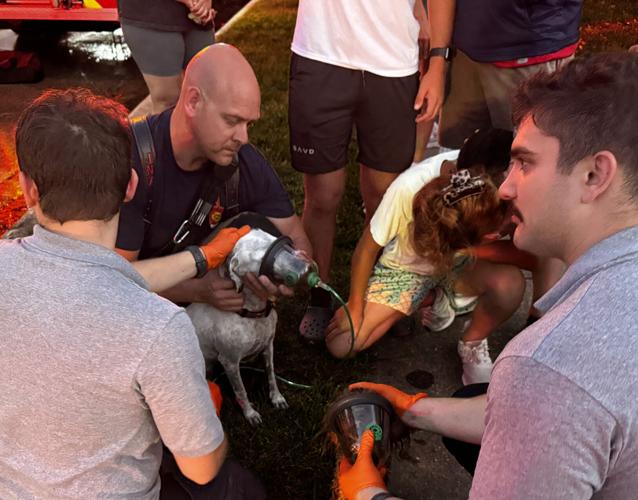 2 dogs rescued from Wednesday night house fire in Normal