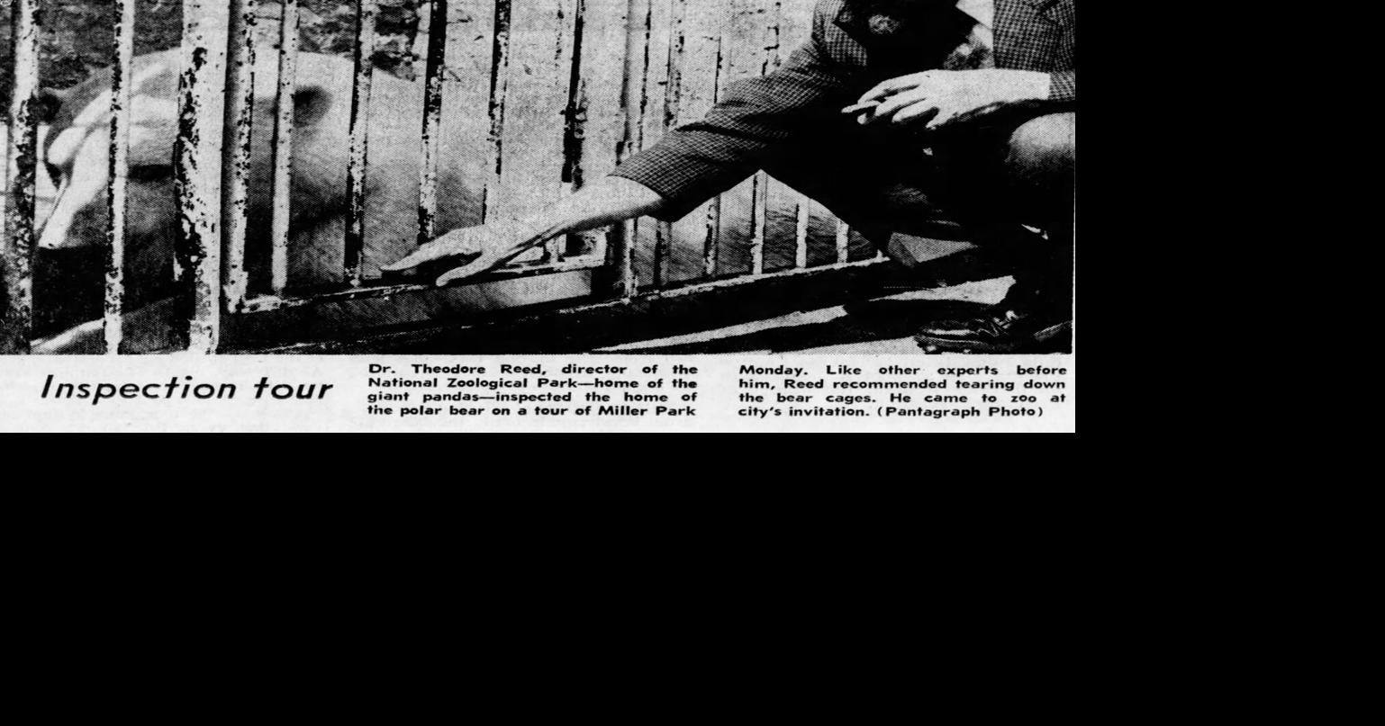 50 years ago Miller Park Zoo evaluated