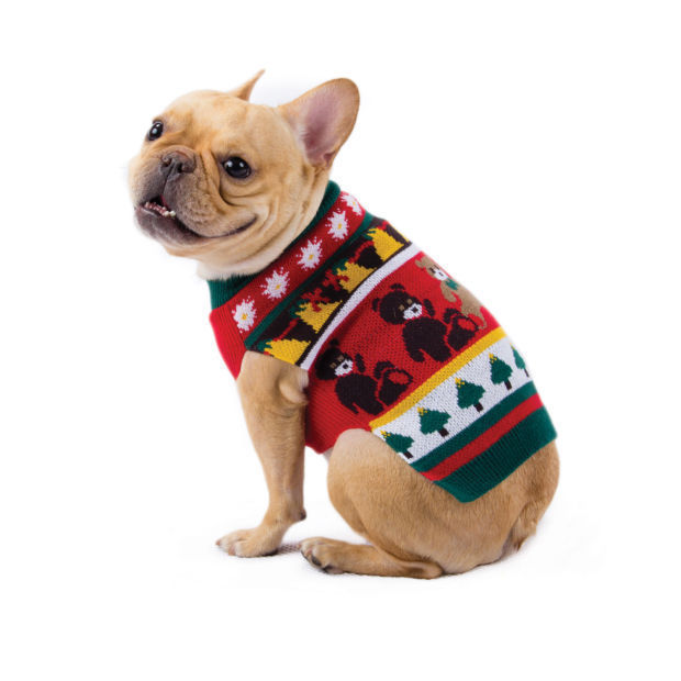 Bret michaels dog clothes sales
