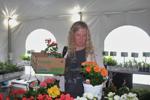 Bringing back begonias