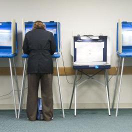 Illinois' partially-open primaries help political parties, discourage some from participating - Vimarsana News