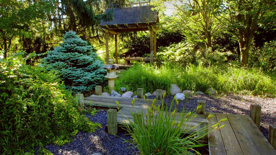 Haag: Give thanks for plants | Home & Garden Haag: Give thanks for plants | Home & Garden