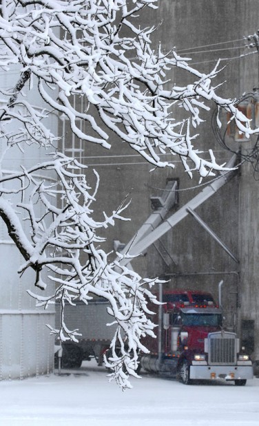 snow4