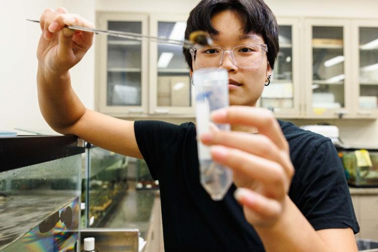 Undergraduate biology student uses DNA detective work to track invasive species