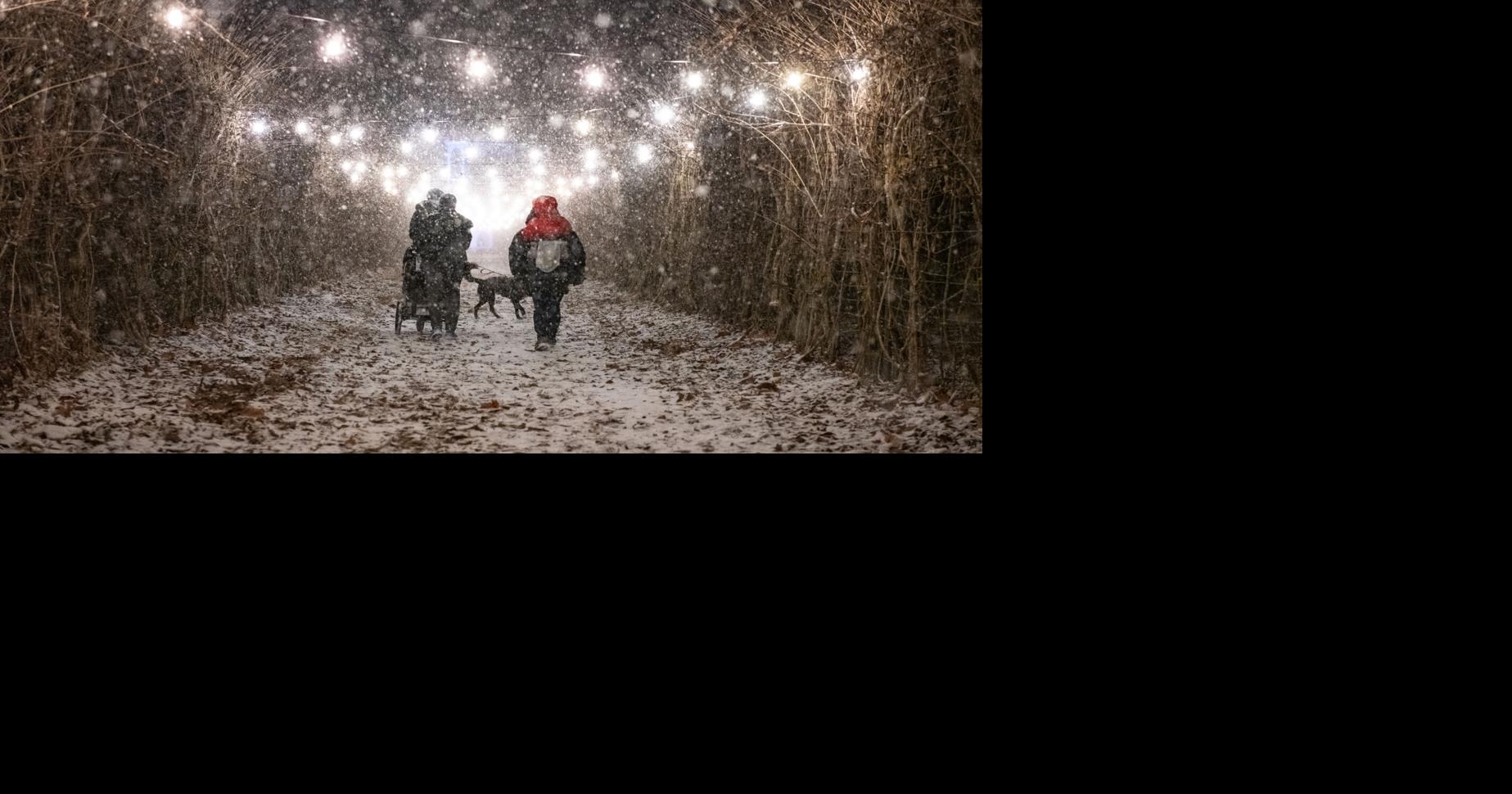 Holiday showcase returns to Allerton Park