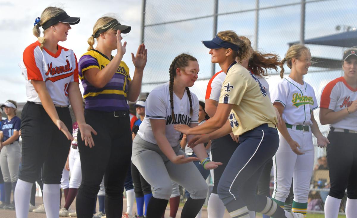 Intercity tries to extend lead against Area in 28th BNGSA All-Star Softball  Game