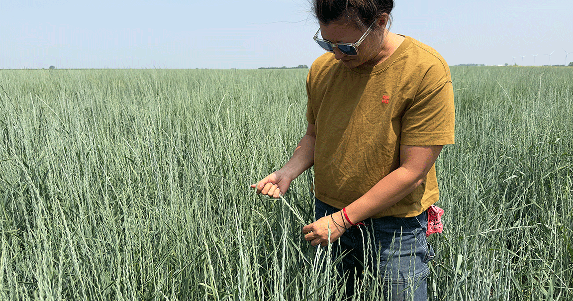 Women-owned farms in the Midwest aim for diversity