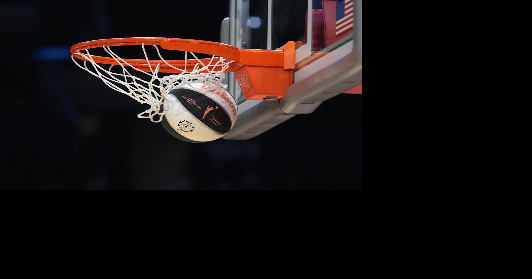 A Wilson official WNBA Evo NXT basketball with the 30th anniversary logo.