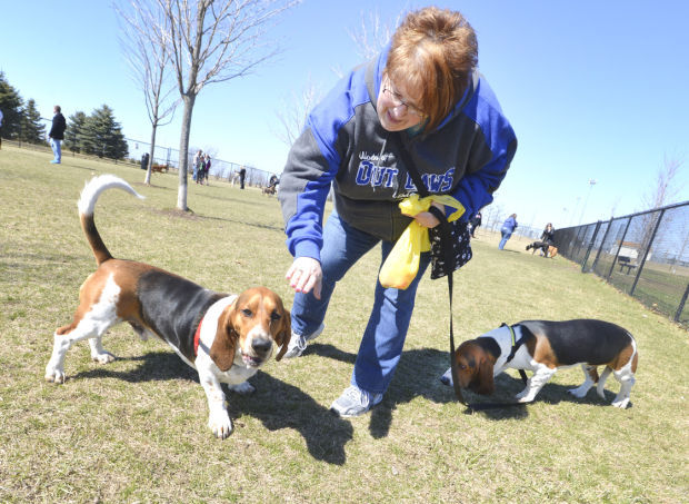Egg Hunts Have Same Goal The Prize Inside Local News