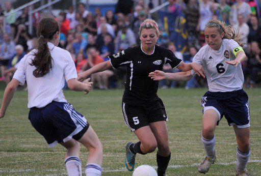 Intercity Girls Soccer Preview High School Girls Soccer Pantagraph Com