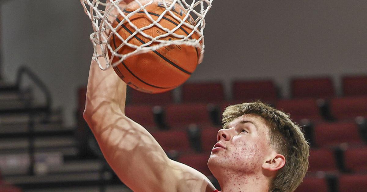 Illinois State's Nick Allen, Isaac Ericksen strive for roles after redshirt seasons