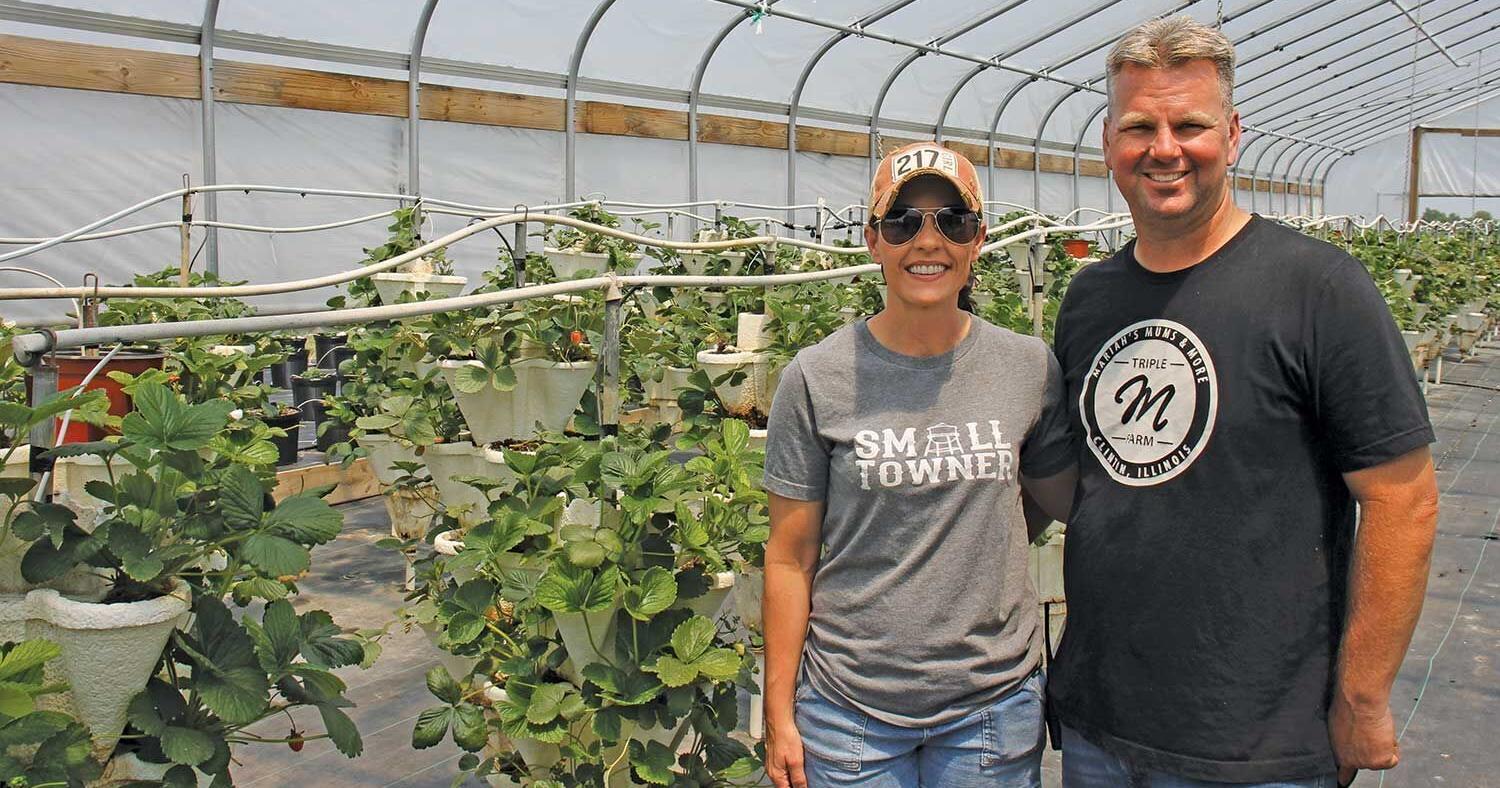 At Clinton's Triple M Farm, agritourism helps sustain other operations - Vimarsana News