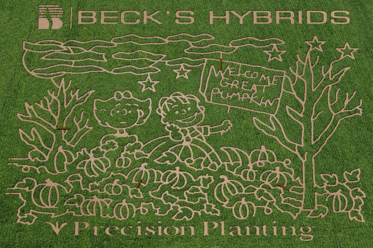 ‘Peanuts’-themed corn maze at Rader Farms