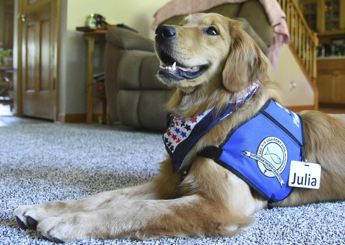 Church comfort dog to bring love to Illinois community