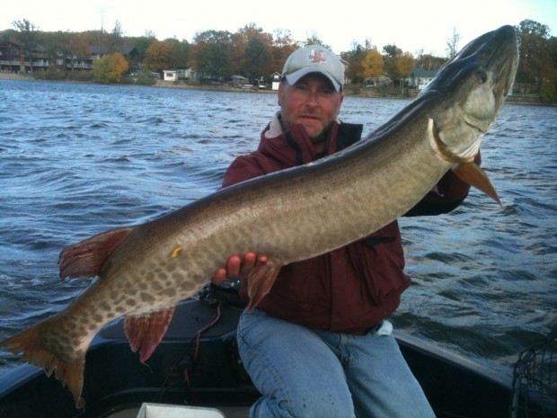 Hook, line & sinker: Live bait great for fall muskies