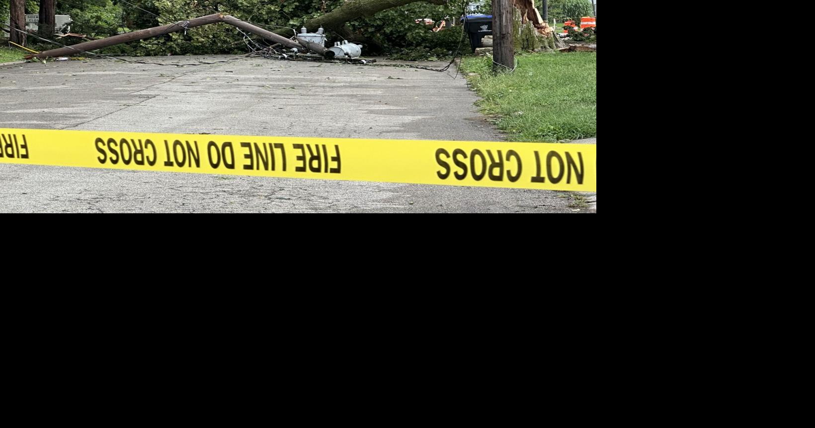 Oak Street tree