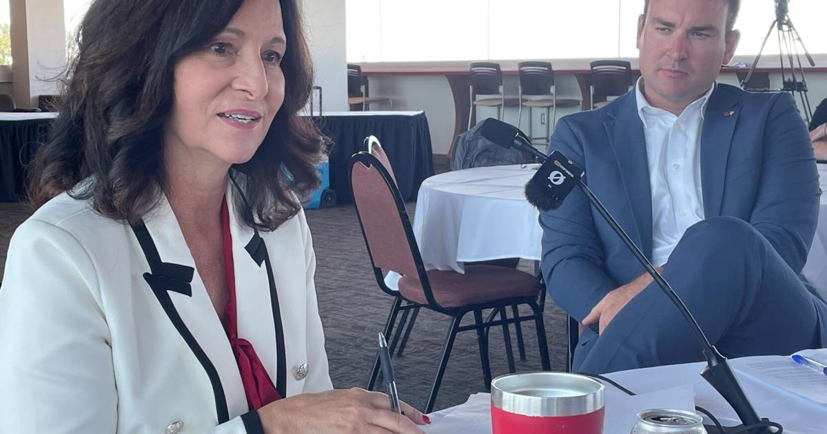 Jessica Riss Search for Illinois State's next director of athletics progressing ...