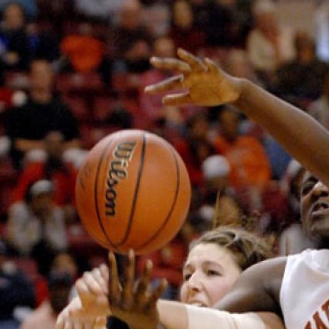 Ihsa Girls 3a Basketball Tournament 2008 Sports Pantagraph Com