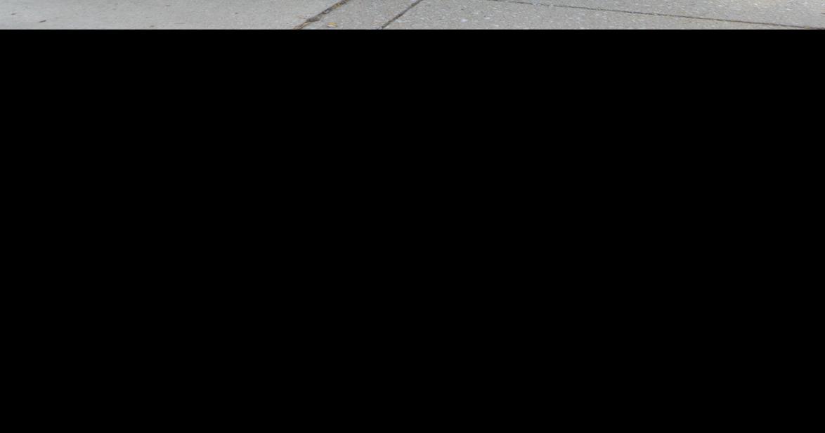 2017 Cogs and Corsets