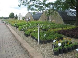 Come walk through our Nursery