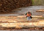 #36. Log Graders and Scalers