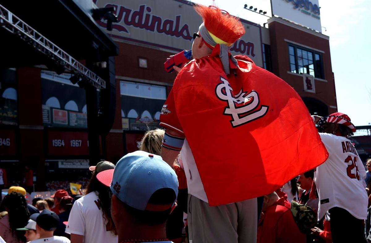 How much will a St. Louis Cardinals game cost you? A breakdown of this  season's prices