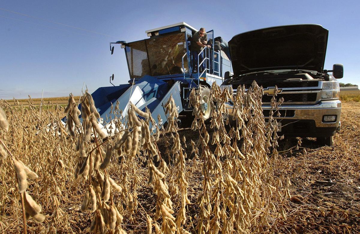 Illinois Farmers Expect To Plant More Corn Than Soybeans Farming Pantagraph Com