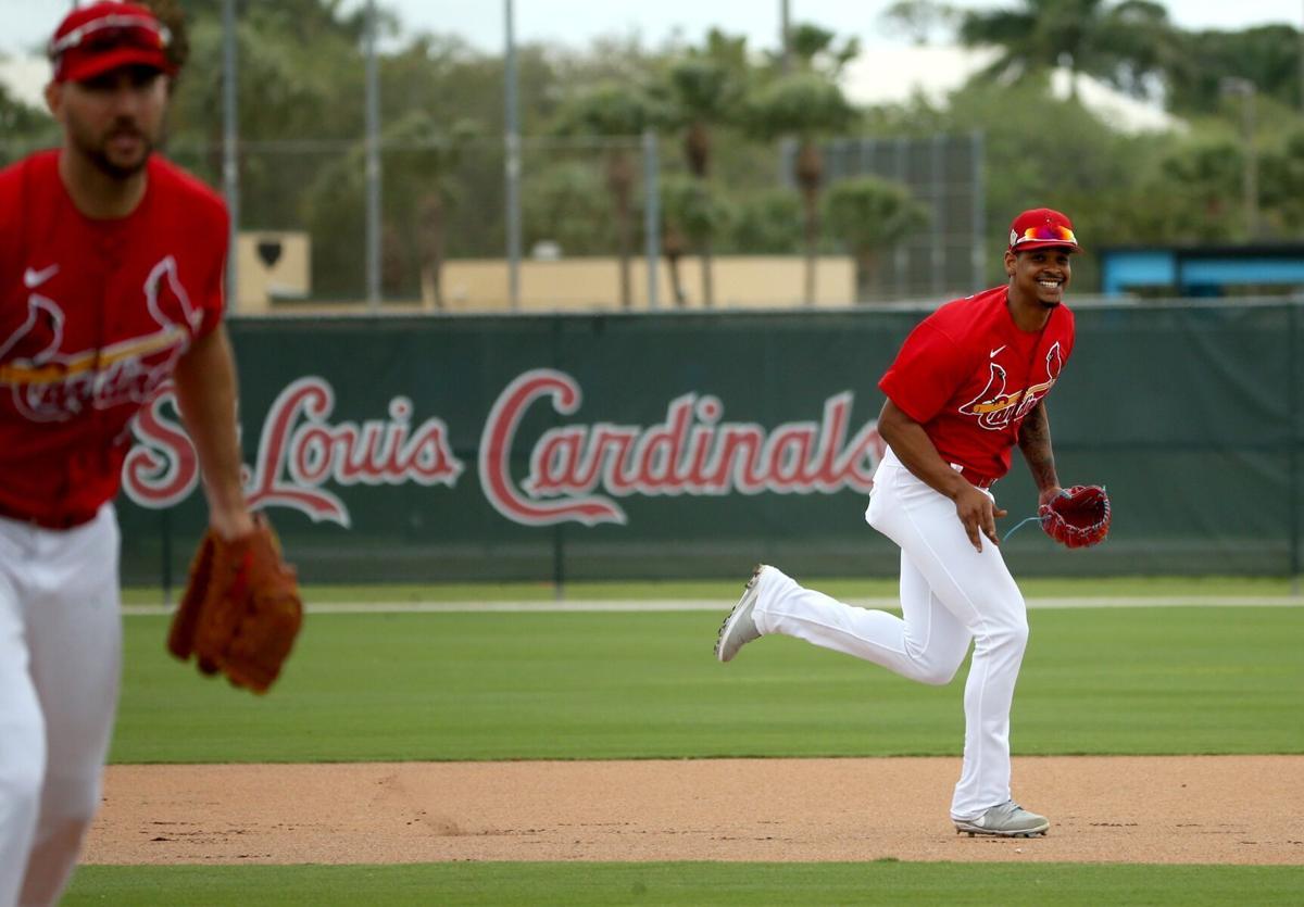 St. Louis Cardinals spring training spotlight: Delvin Perez