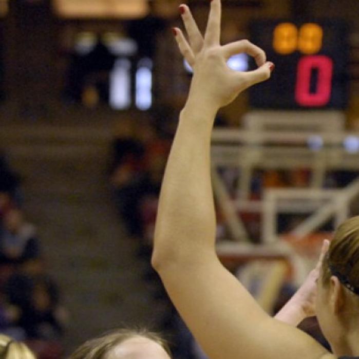 IHSA Class AA Girls Basketball | Sports | pantagraph.com