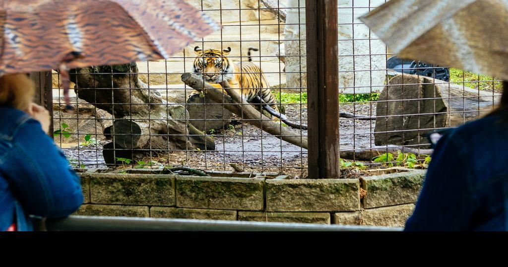 Brews at the Zoo set for June 24 in Bloomington