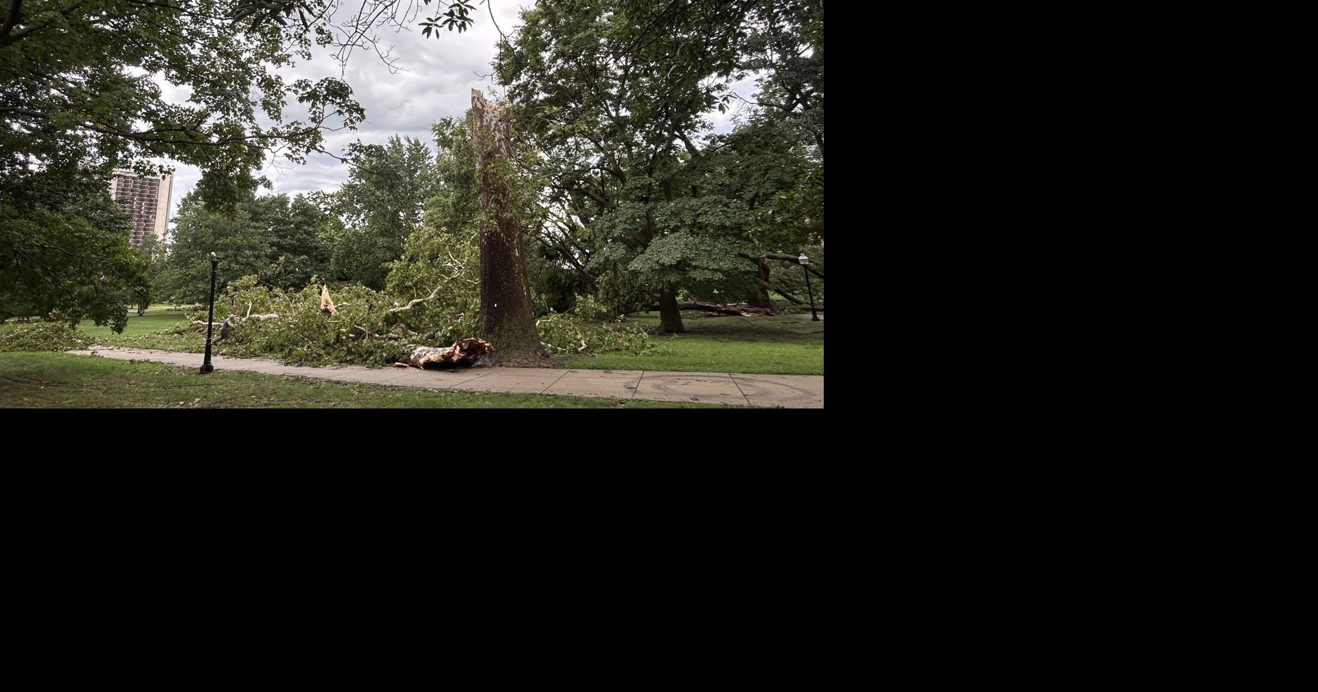 Normal crews collect 8,500 cubic yards of storm debris; emergency extended