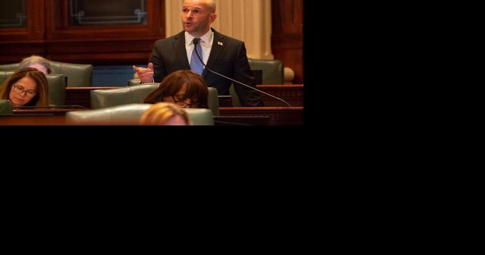 Expansion of postpartum coverage, ban on kangaroos among hundreds of measures to pass Illinois House - Vimarsana News