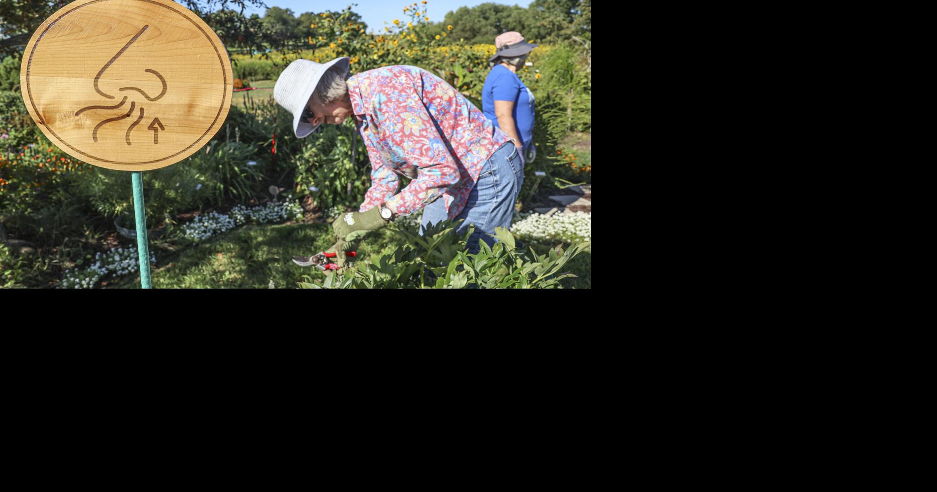 Gardeners Corner: Deadheading encourages more garden blooms