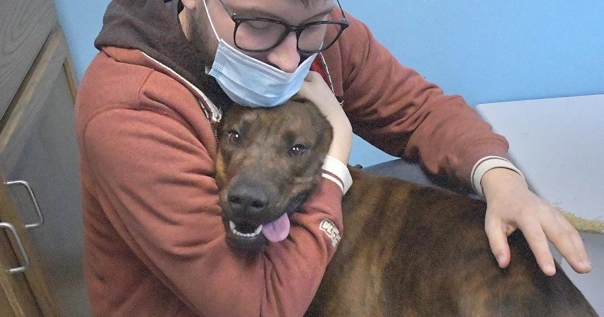 Watch now: Normal shelter finds homes for pets rescued in December storms