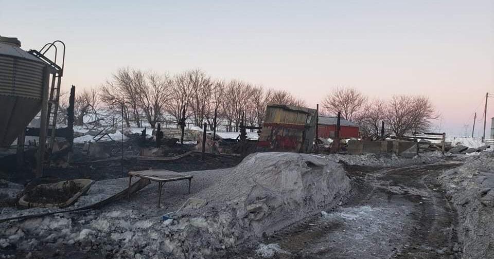 12 horses perish in rural McLean County barn fire | Local News 12 horses perish in rural McLean County barn fire | Local News