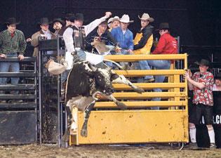 Professional Rodeo Cowboys Association Horrified To Learn Madison