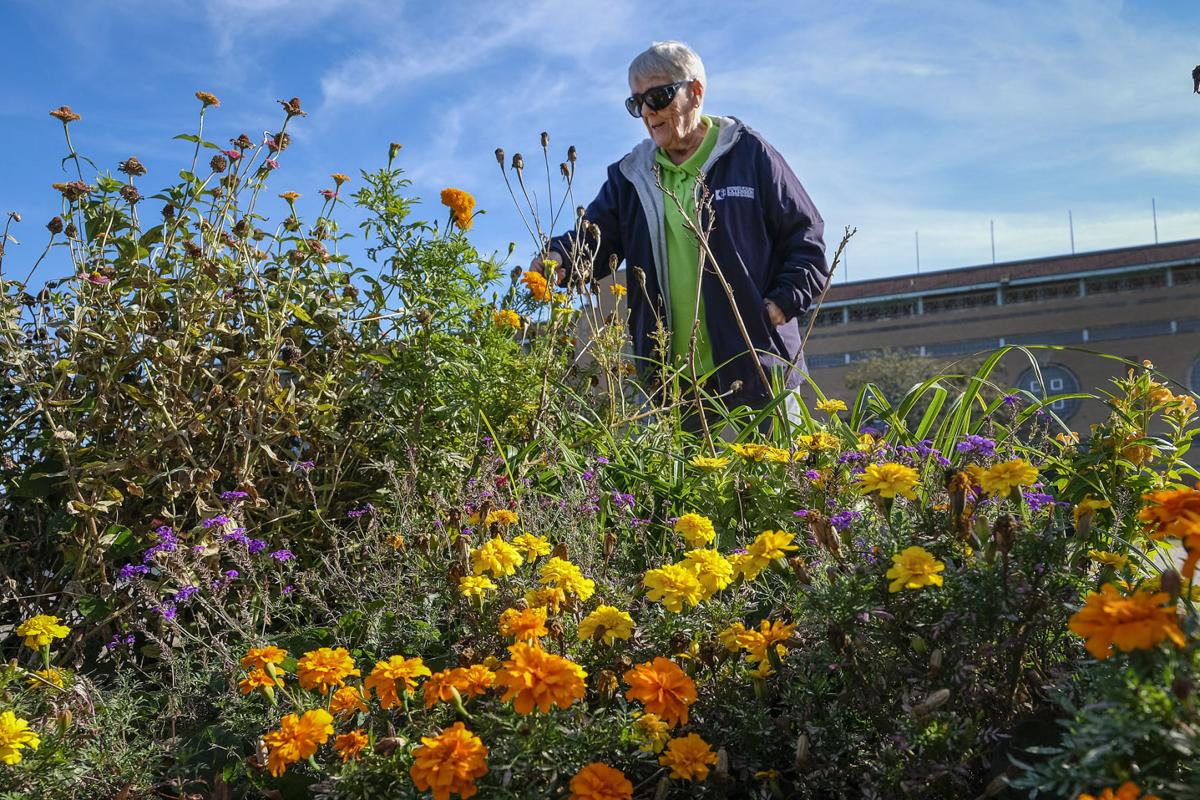 U Of Illinois Names Woman A Master Gardener Home Garden Pantagraph Com
