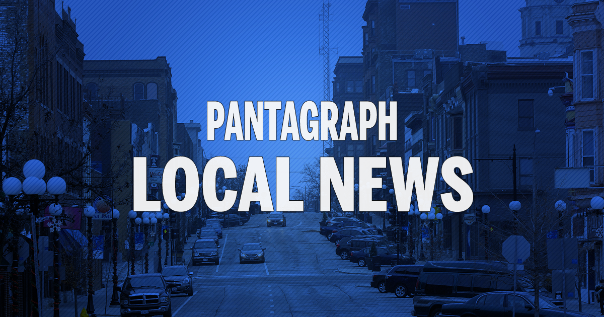 Bloomington Fines Owner Of Caracal Cat 2 000 For Pet Violations Politics Pantagraph Com