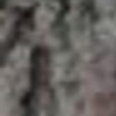 Eureka High School Graduation Local Education Pantagraph Com