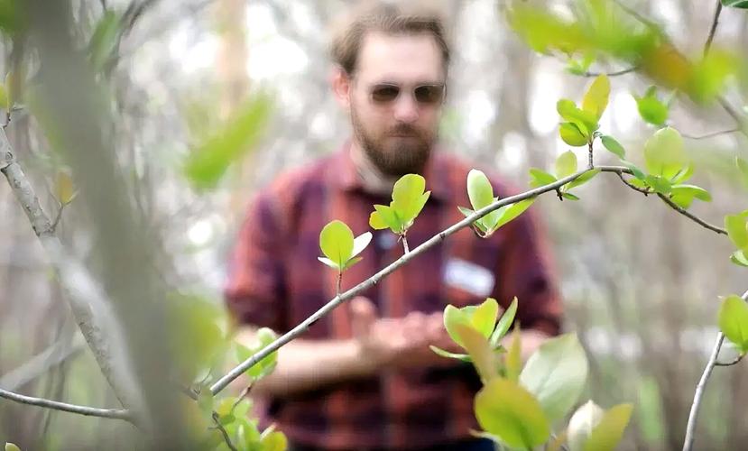 Hedgerow, April 9, 2026. (copy)