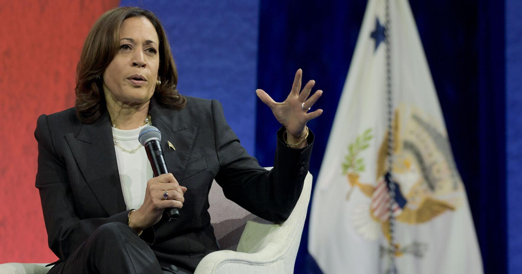 VP Kamala Harris takes optimistic tone at fundraising event in Cook Co. - Vimarsana News